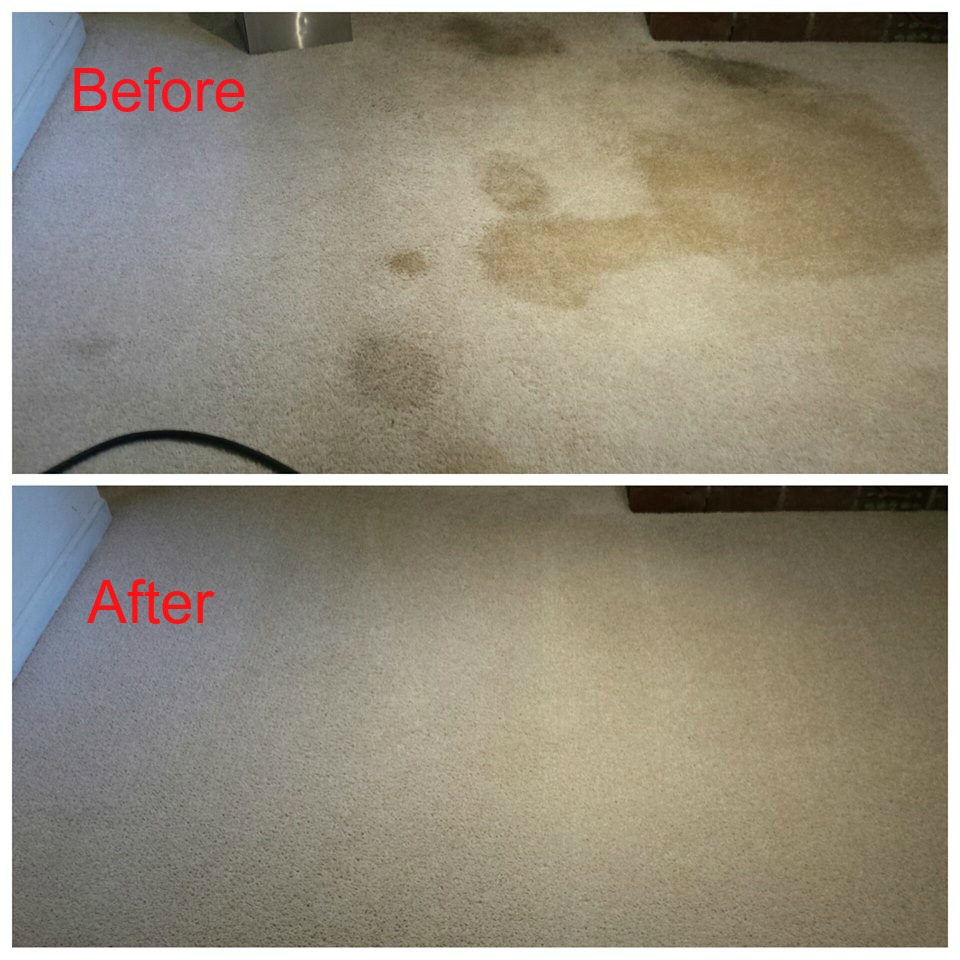 Photos of Dirty Carpet Before and After a Heaven’s Best Carpet Cleaning